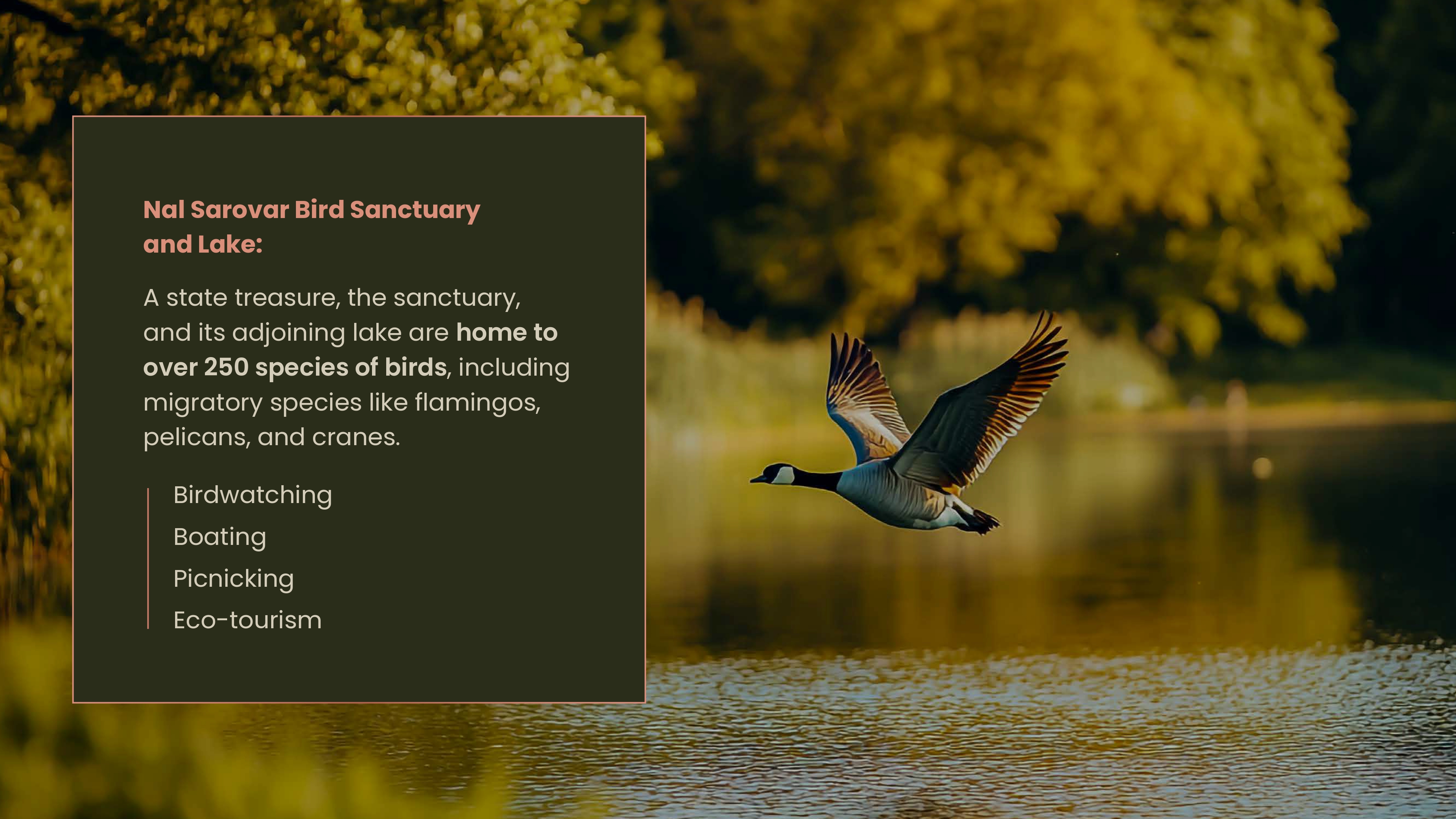 BIRDSONG BY RATNAKAR - Media 2
