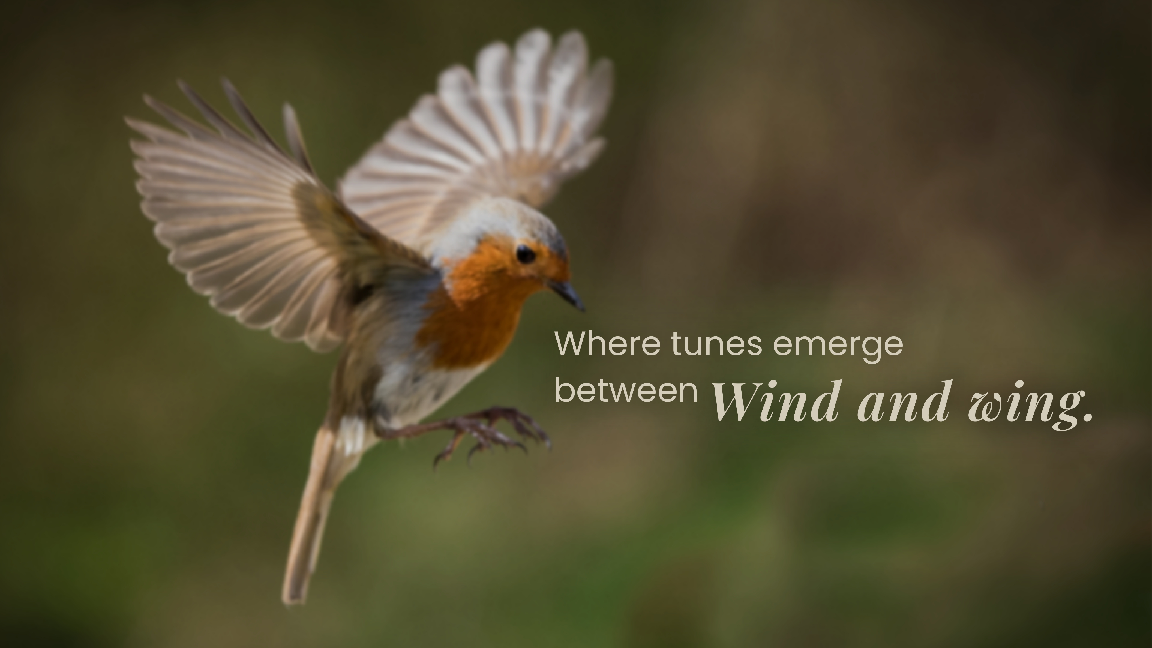 BIRDSONG BY RATNAKAR - Media 1