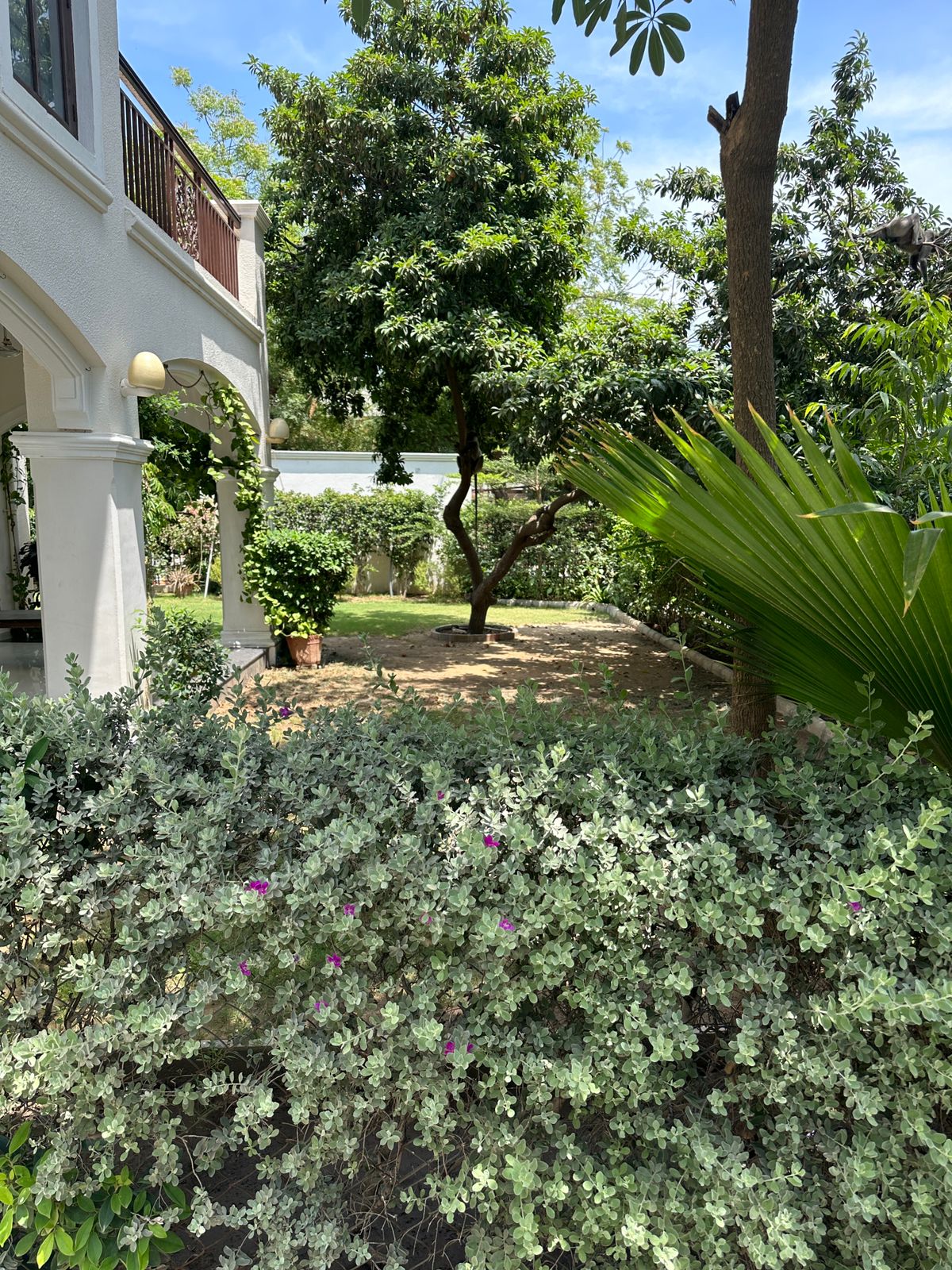 5 BHK 800 Sq.YRD Residential Bunglow for Rent in Thaltej Ahmedabad - Media 14