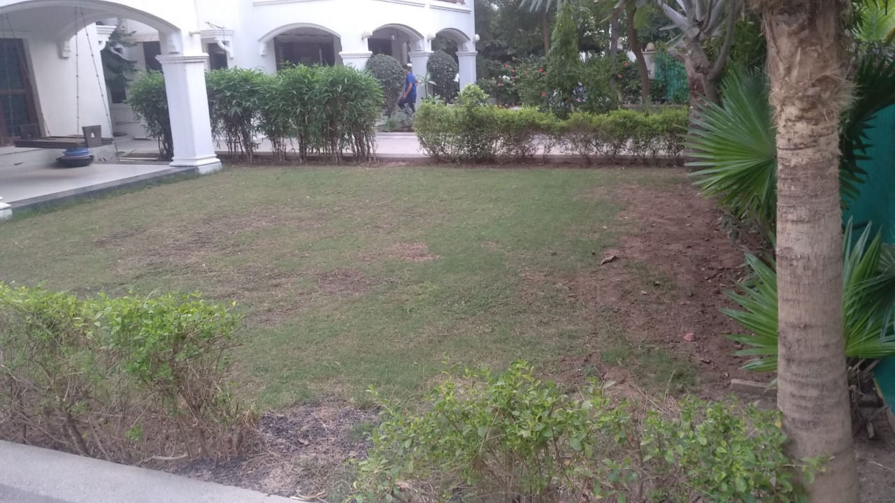 5 BHK 5166 Sq.FT Residential Bunglow for Rent in Thaltej Ahmedabad - Media 2