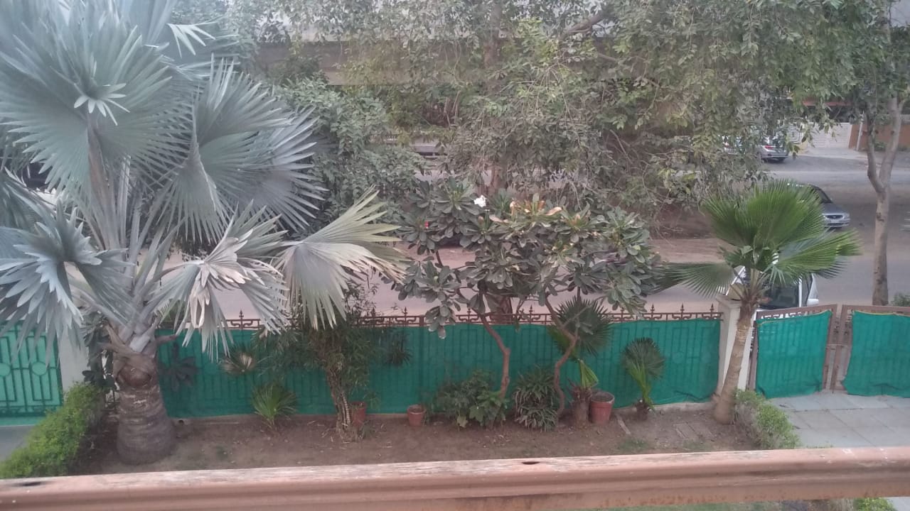 5 BHK 5166 Sq.FT Residential Bunglow for Rent in Thaltej Ahmedabad - Media 9