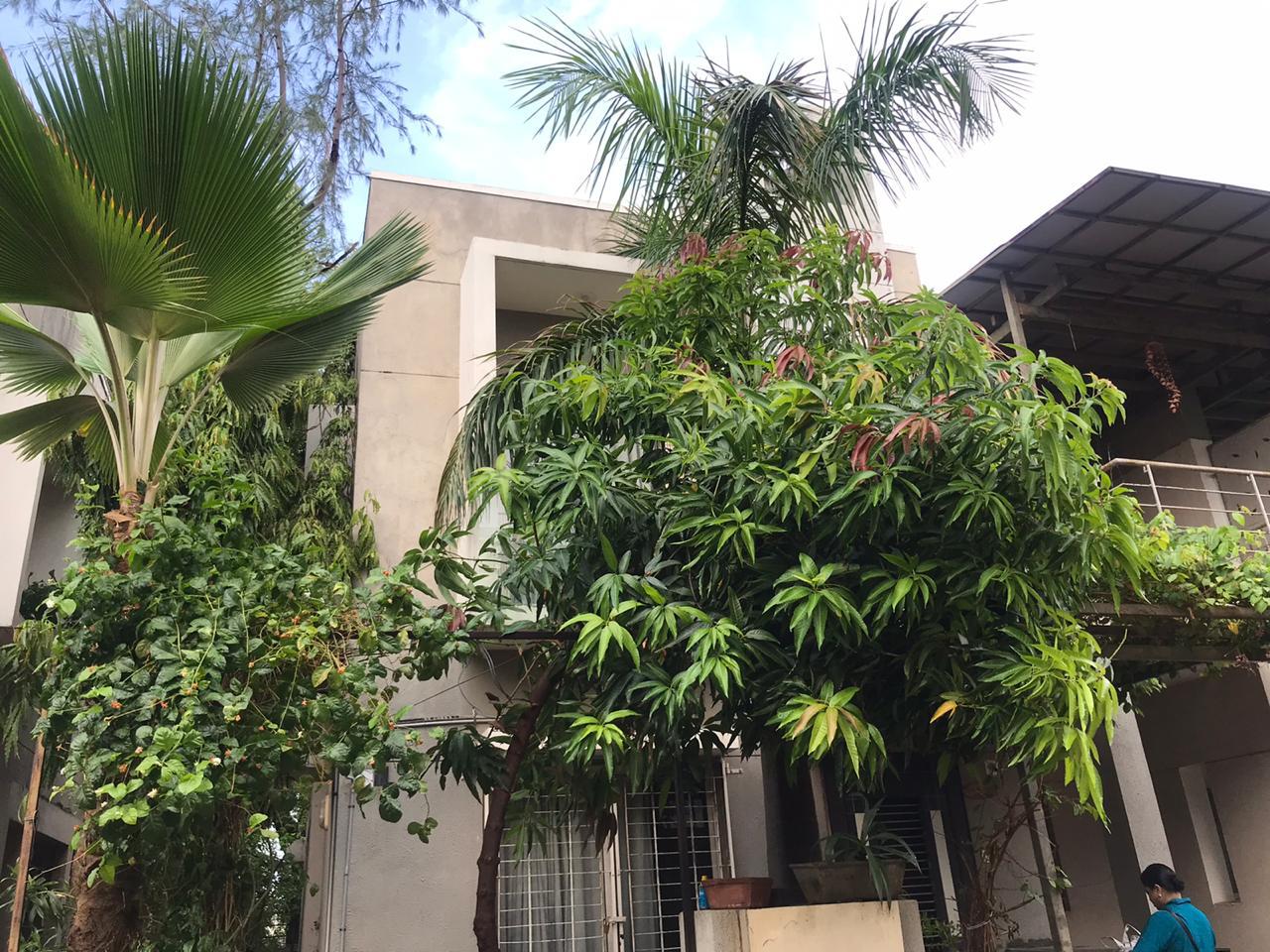 2 BHK 2430 Sq.FT Residential Bunglow for Rent in Bopal Ahmedabad - Media 3