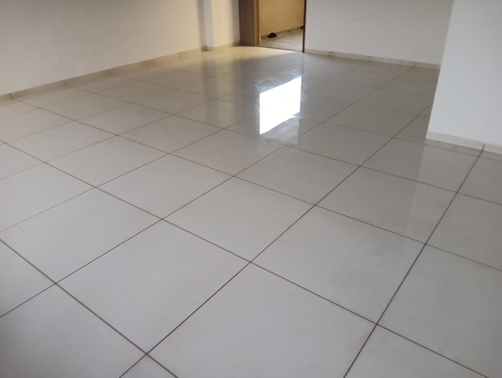 OFFICE 885 Sq.FT Commercial Office for Rent in Sg Highway Ahmedabad - Media 5