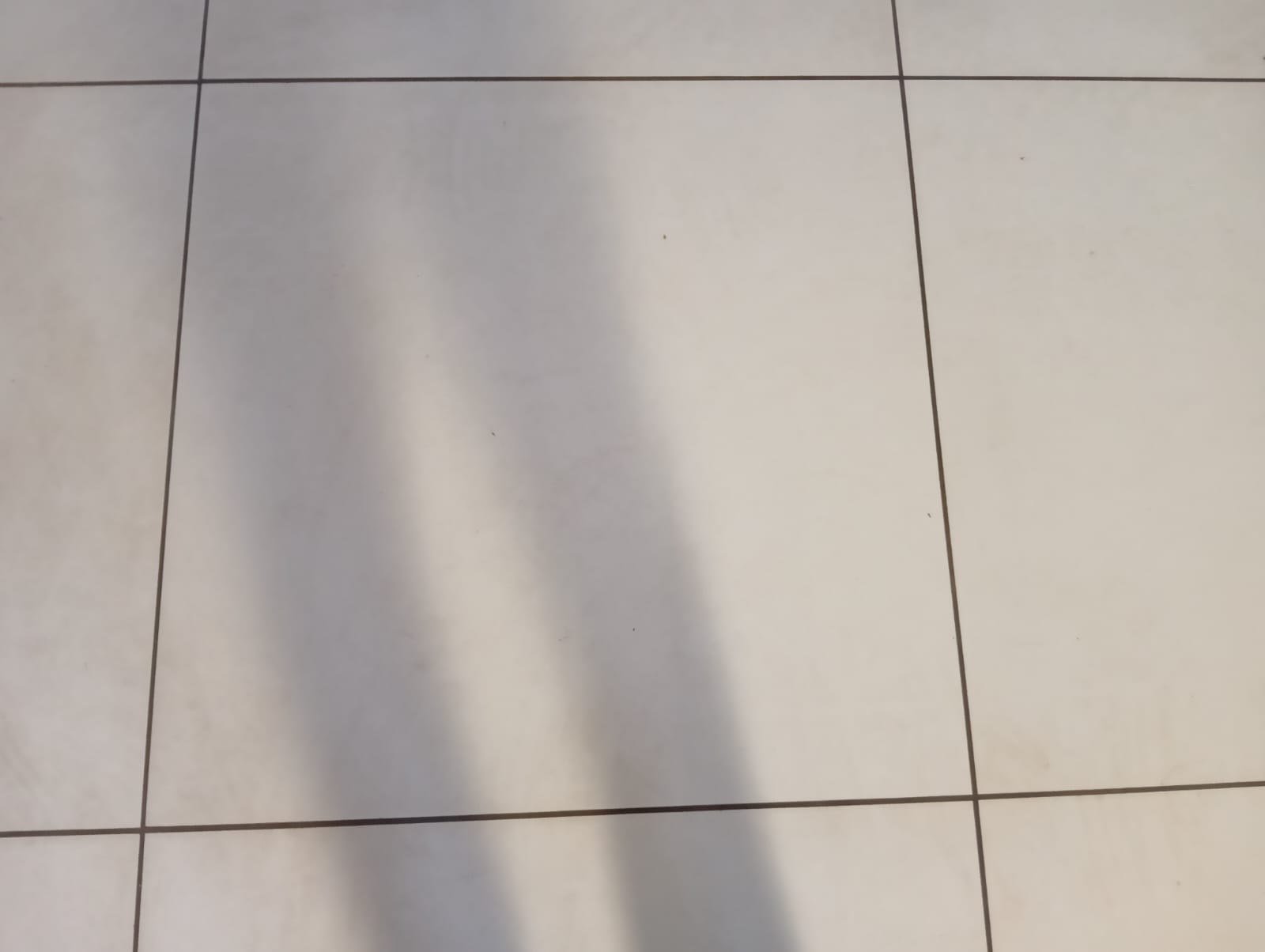 OFFICE 885 Sq.FT Commercial Office for Rent in Sg Highway Ahmedabad - Media 4