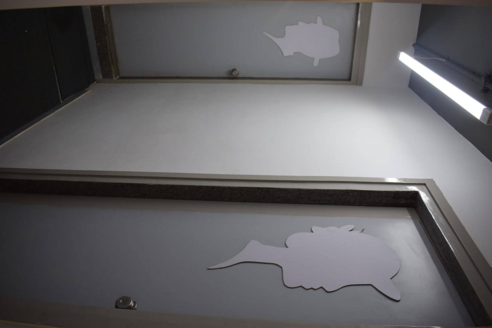 OFFICE 3700 Sq.FT Commercial Office for Rent in Ellisbridge Ahmedabad - Media 6